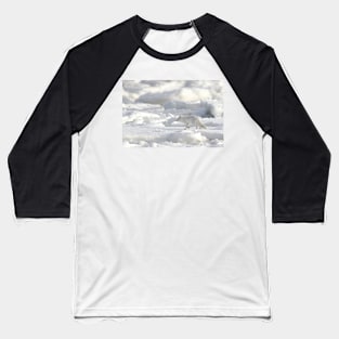 Arctic Fox #2, on the Tundra, Hudson Bay, Canada Baseball T-Shirt